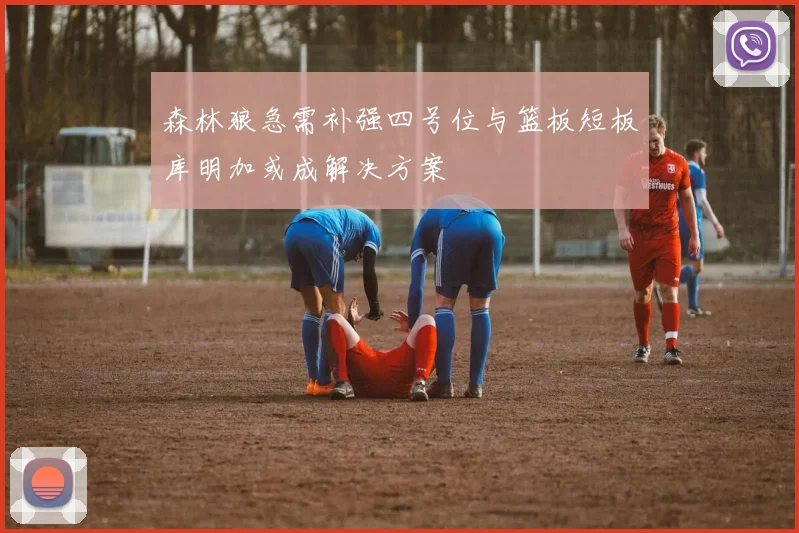 森林狼急需补强四号位与篮板短板库明加或成解决方案